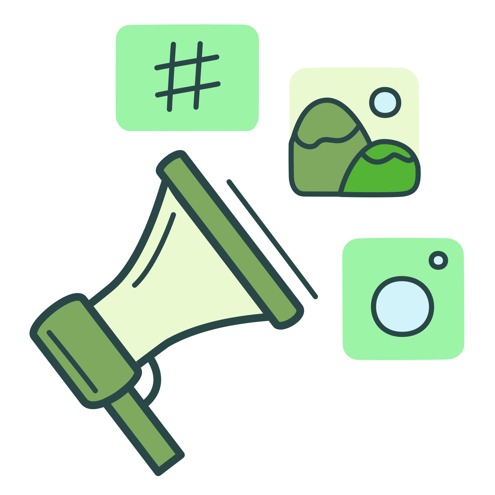 Social Media Management